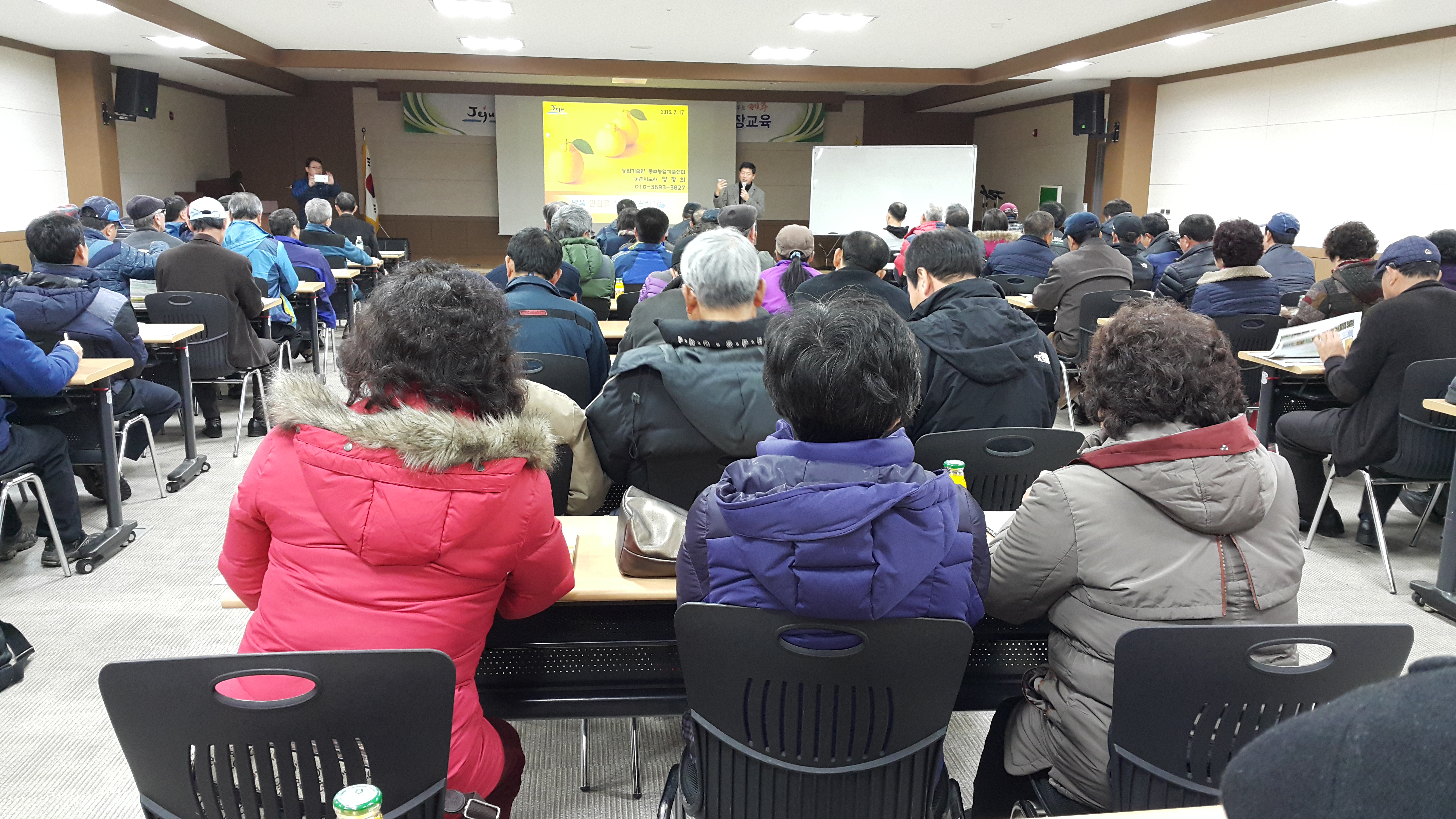 만감류 재배기술 